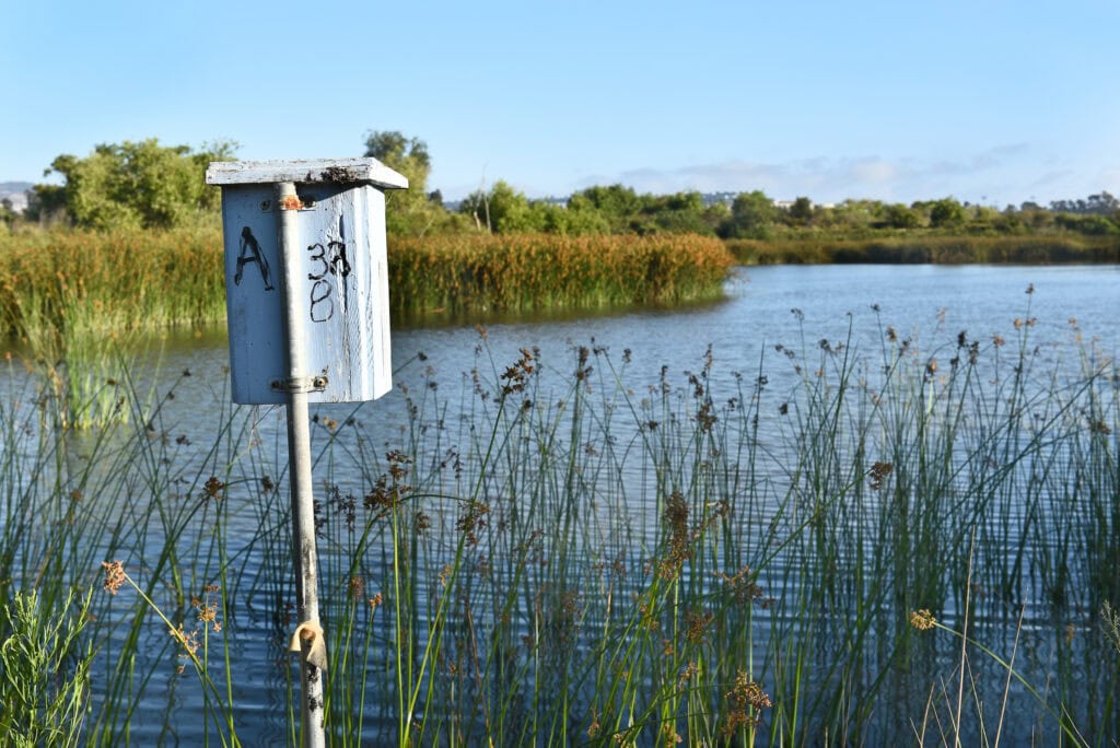 View of water and park near Irvine.
